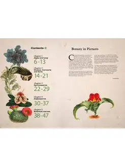 Illustrated Botany The Virtual Plant Museum