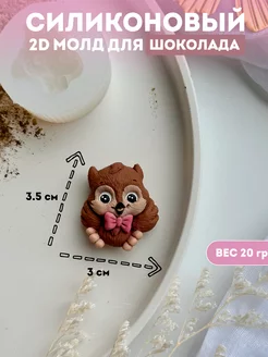 Силиконовый молд для шоколада Школа Сова с бабочкой