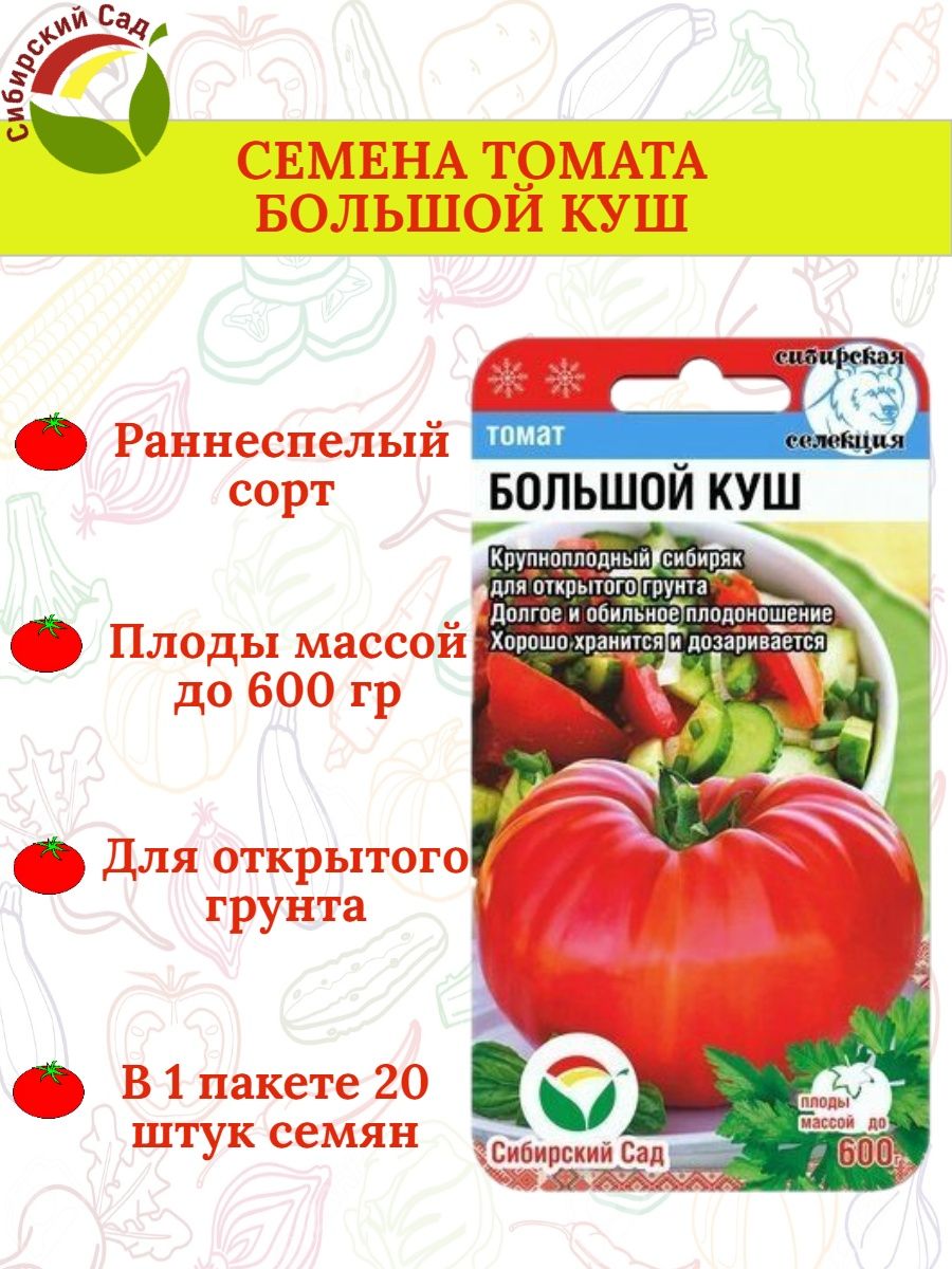 Томат пуговка отзывы фото. Томат безразмерный. Томат Пуговка. Томат безразмерный отзывы. Томат безразмерный отзывы фото.