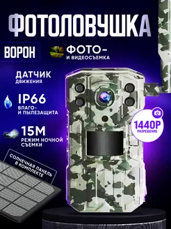 Фотоловушка с солнечной батареей Ворон