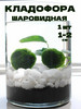 Кладофора 1-2см Маримо Декор для аквариума бренд Aqua_Plants продавец Продавец № 819452