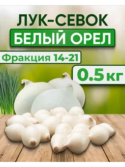 Лук севок на посадку Белый орел 0.5 кг