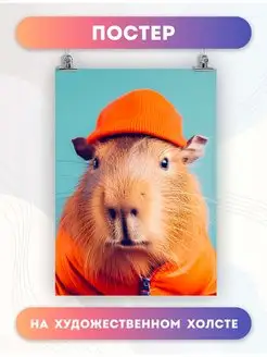 Постер животные капибара animals capybara (5) 30х40 см