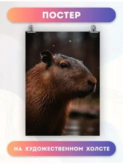 Постер животные капибара animals capybara (3) 30х40 см