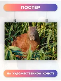 Постер животные капибара animals capybara (7) 30х40 см