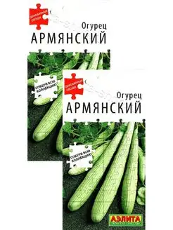 Огурец Армянский (10 семян), 2 пакета