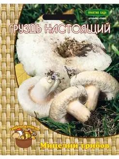 Мицелий Груздь настоящий (60 мл.)