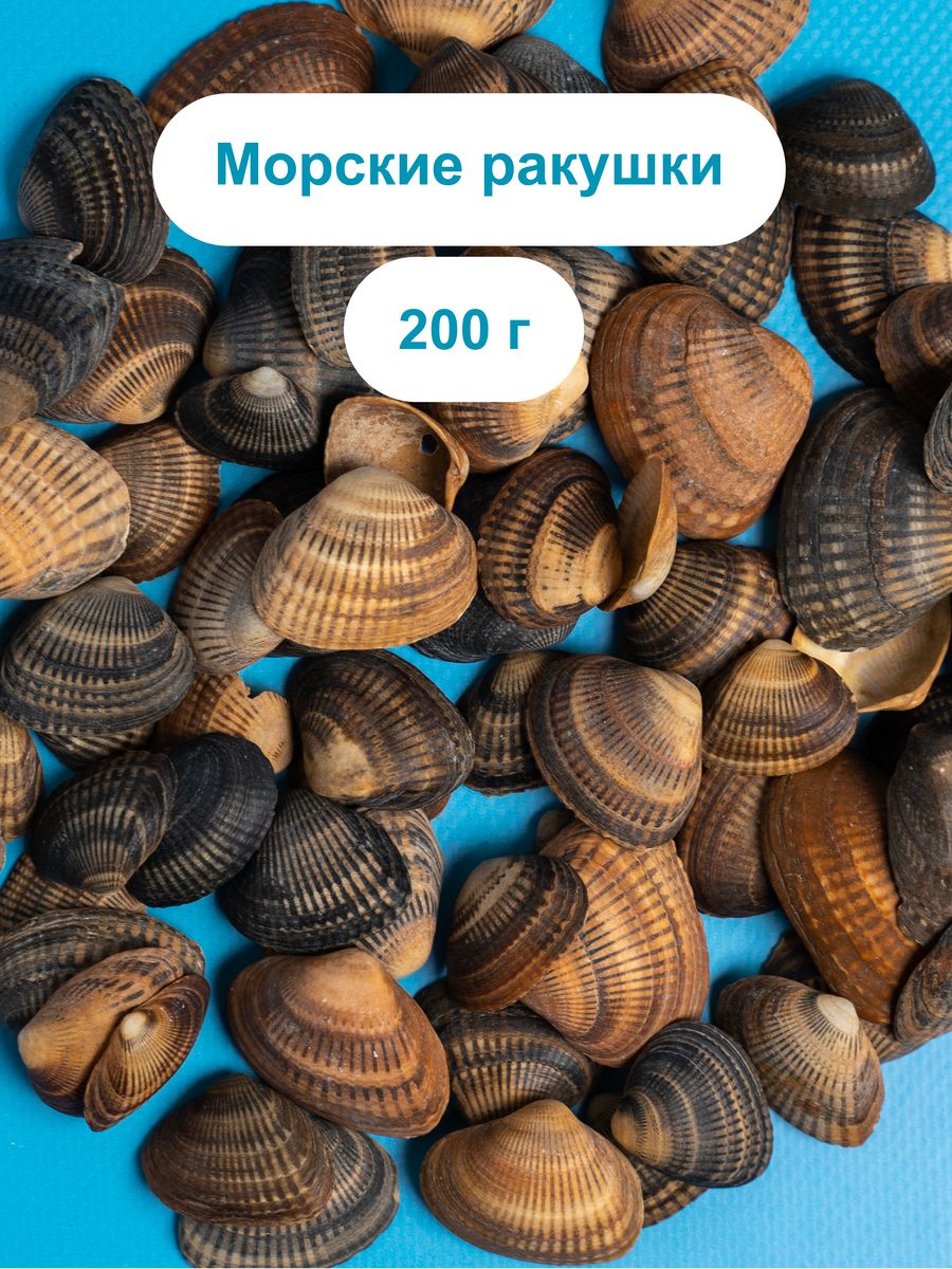 Конфеты Aimee морские ракушки 250г