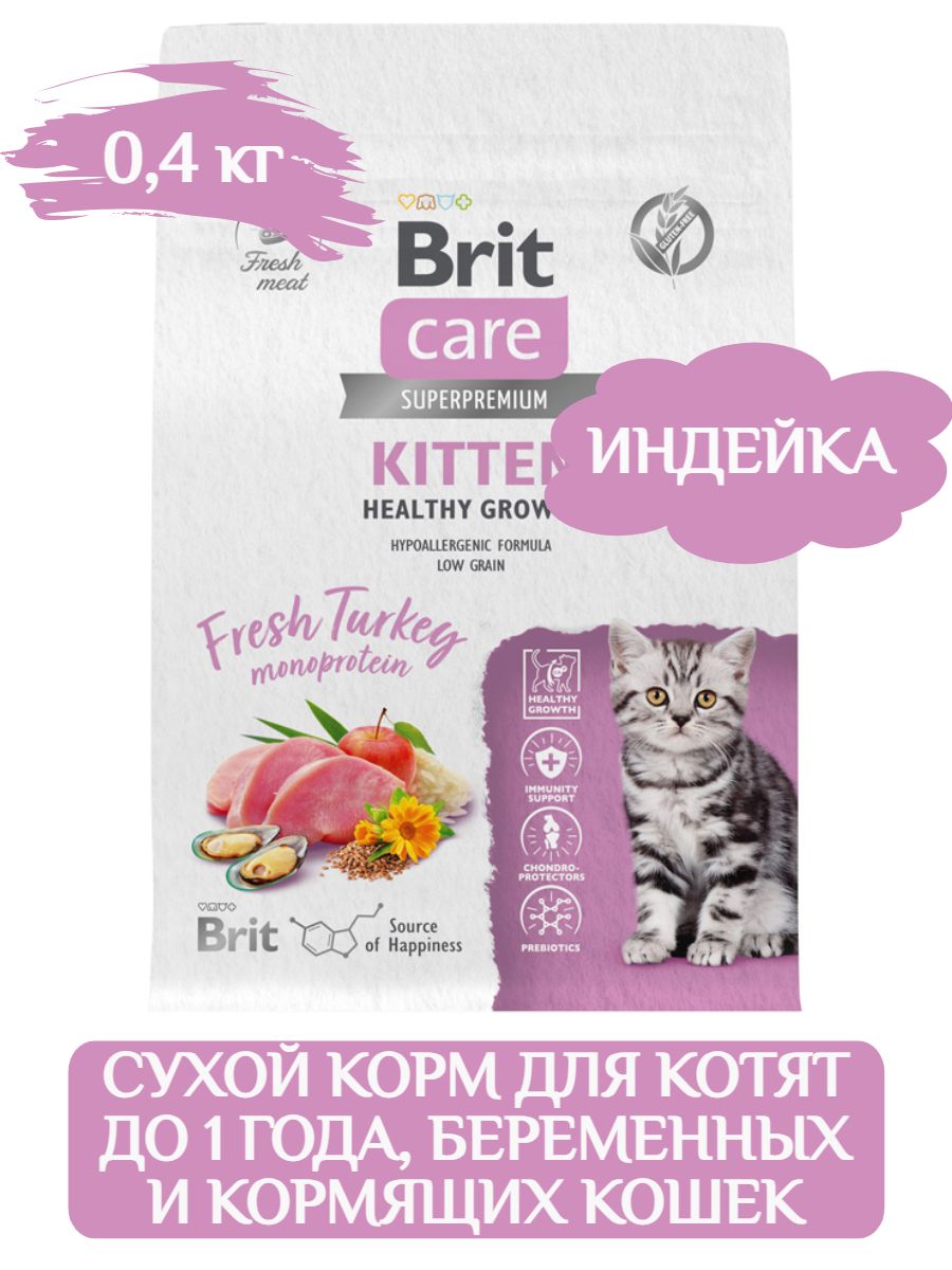 Brit care kitten