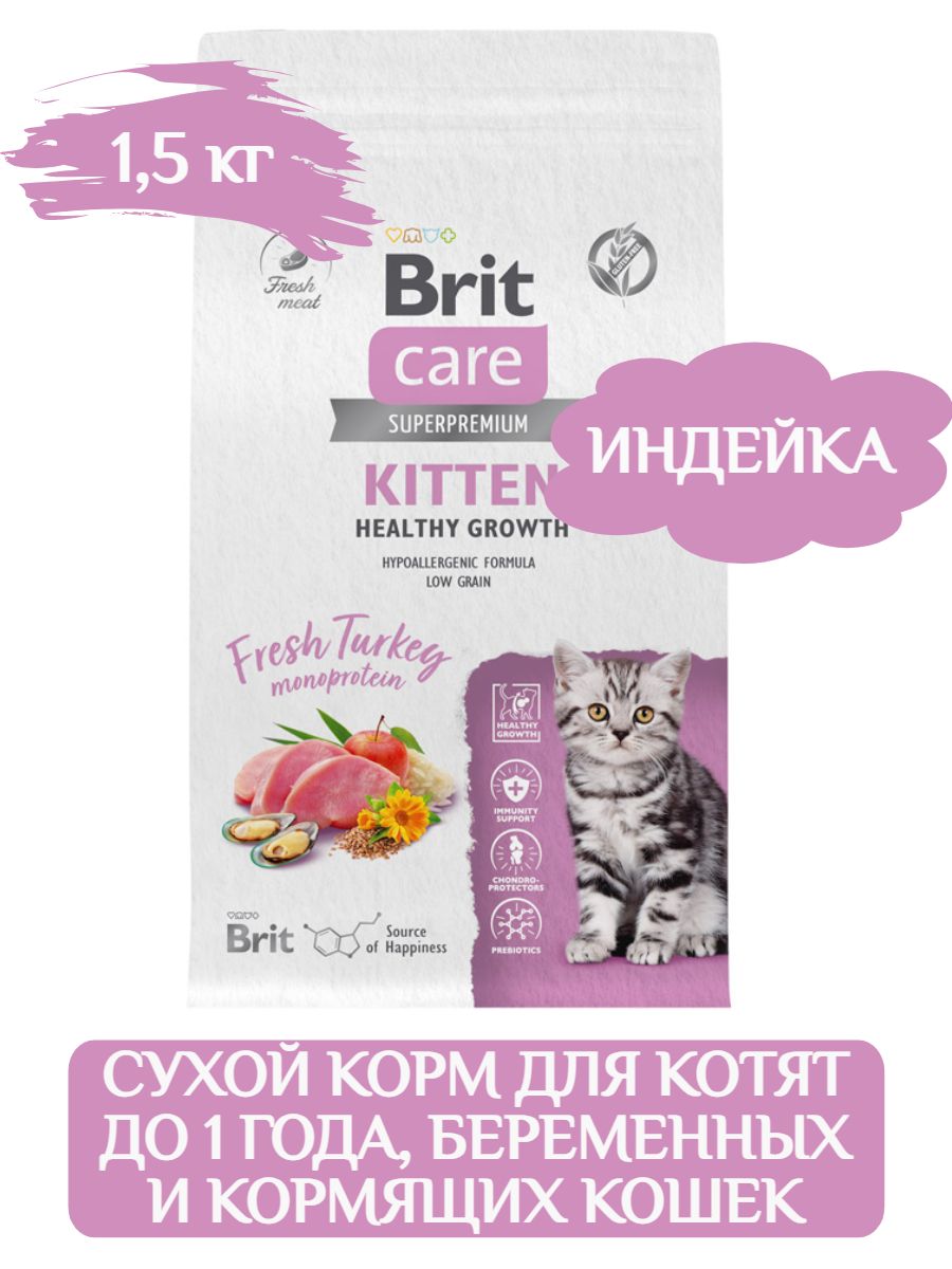 Brit care kitten