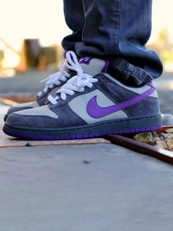 Кроссовки Nike Dunk SB Low Purple Pigeon Данки осенние кеды