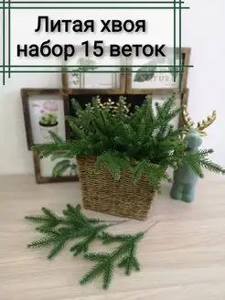 Еловые ветки для декора