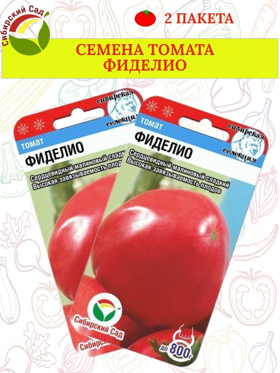 Фиделио томат описание и фото. Томат Фиделио. Томат Фиделио характеристика. Томат картофельный малиновый. Томат Фиделио фото.