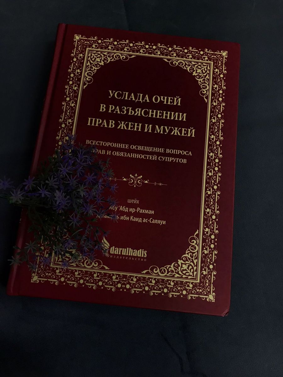 Книга услада очей в разъяснении