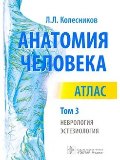 Анатомия человека. Атлас. В 3-х томах. Том 3 Колесников Л.Л