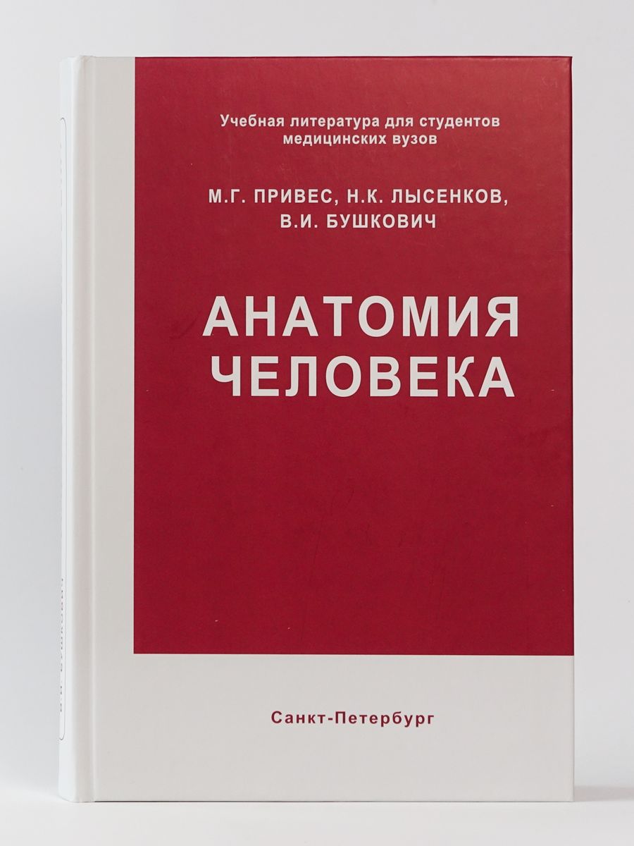 12 издание. Книга анатомия человека м.г привес , н.к. Лысенков , в.и. Бушкович. Книга анатомия человека м.г. привес. Анатомия человека привес Лысенков Бушкович. Привес анатомия человека 1985.