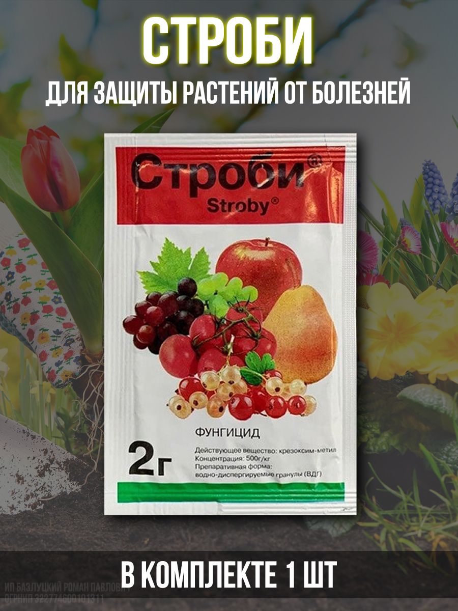 Строби отзывы. Строби 2гр. Препарат Строби. Строби. Вино Strobi купить.