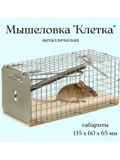 Мышеловка живоловка для мышей