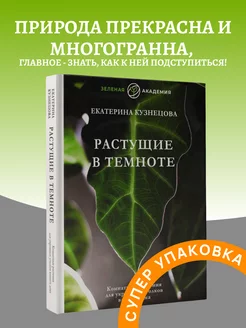 Растущие в темноте. Комнатные растения для укромных уголков