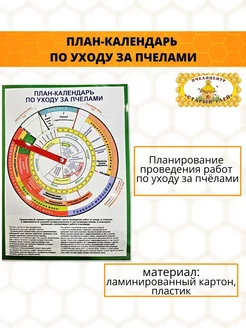 План-календарь по уходу за пчелами