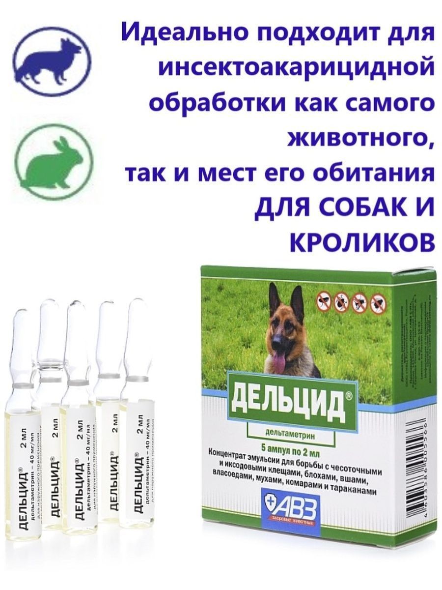 Дельцид в ампулах для обработки. Дельцид 2 мл. Дельцид для собак. Дельцид от блох. Дельцид в ампулах.