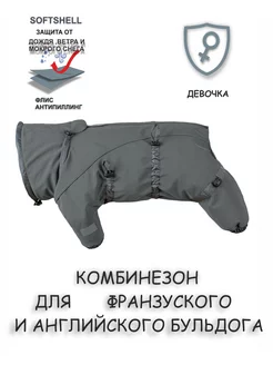 Комбинезон для собак Softshell для французского бульдога