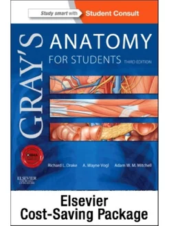 Gray's Anatomy for Students and Paulsen Sobotta, Atlas of A