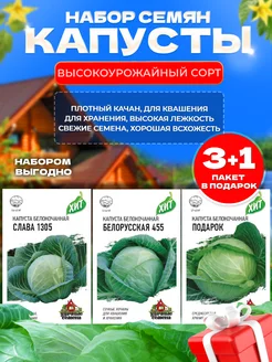 Капуста белокочанная среднеспелая для квашения и хранения