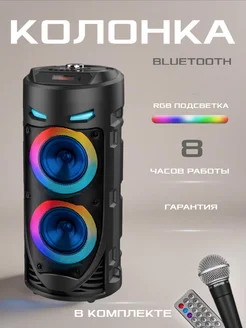 Музыкальная напольная колонка с караоке Bluetooth