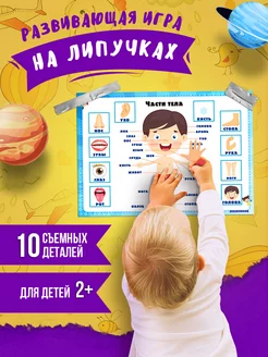 Игры для детей развивающие интересные на липучках, Тело