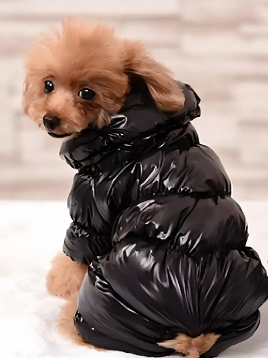 Одежда для собаки на зиму своими руками (69 фото)