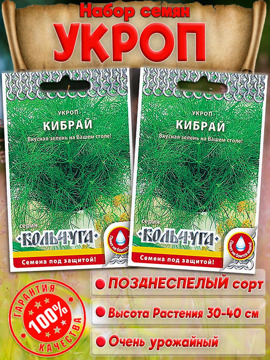 Укроп Кибрай позднеспелый Кольчуга 173520858 купить в интернет-магазинеWildberries