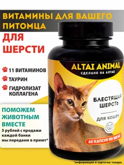 Витамины для кошек для шерсти