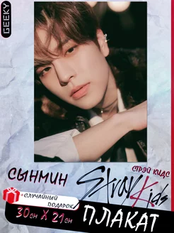 Постеры stray kids 5 star Сынмин строй кидс skz seungmin