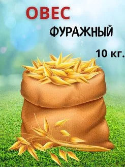 Овес кормовой фуражный для животных