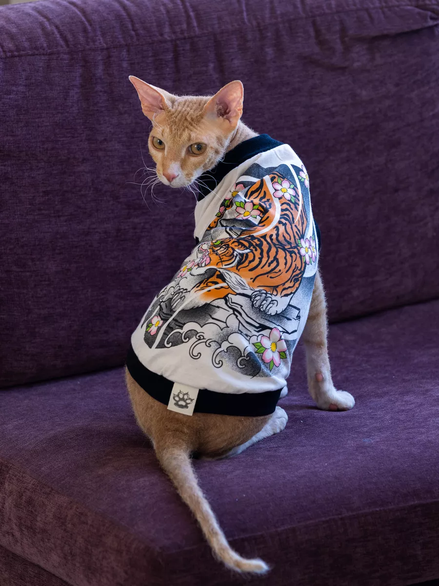 Одежда для животных, майка толстовка для кошек котов сфинкс