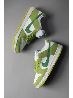 Кроссовки Nike SB Dunk Low - Данки SB