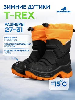 Сапоги T-REX