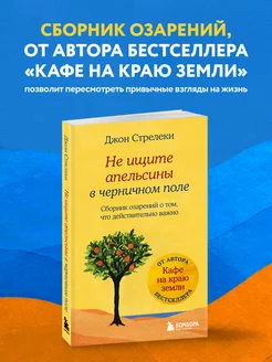 Не ищите апельсины в черничном поле. Сборник озарений