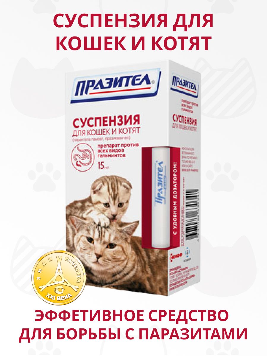 Глистогонное для кошек. Антигельминтные препараты для кошек. Глистогонные препараты для кошек. Глистогонное для котят. Купить празител для кошек