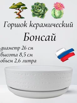 Горшок для бонсай, суккулентов и кактусов с поддоном D26см