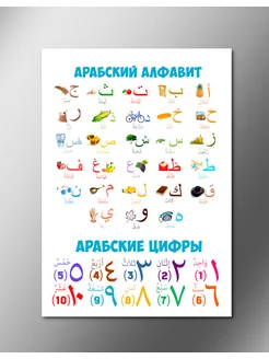 Магнит Плакат "Арабский Алфавит" А4