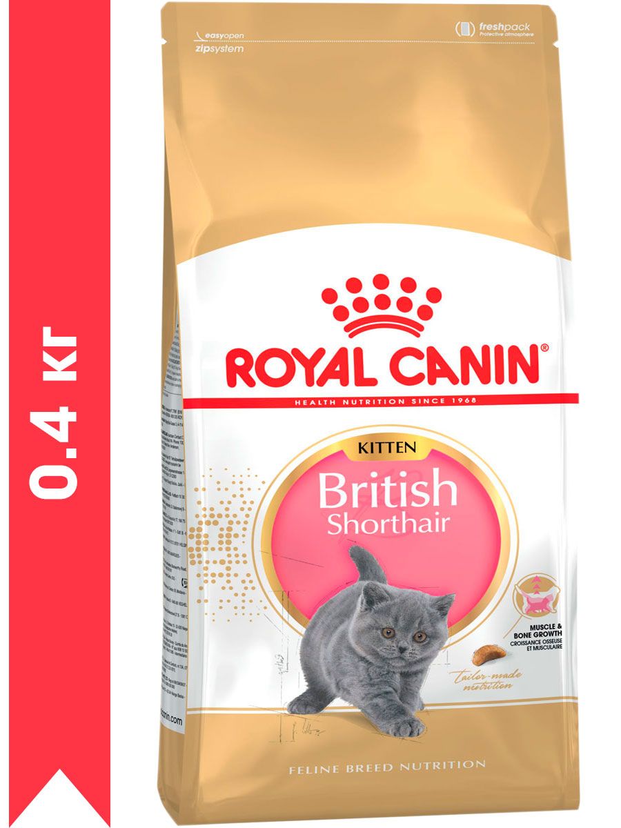 Royal canin british shorthair