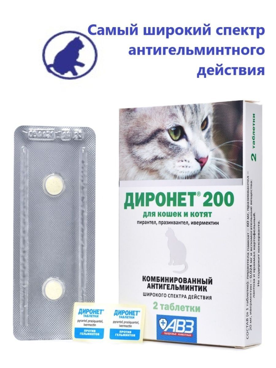 Диронет для кошек