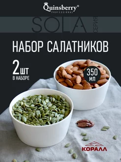 Салатники набор 2 шт белые фарфор 350 мл Sola