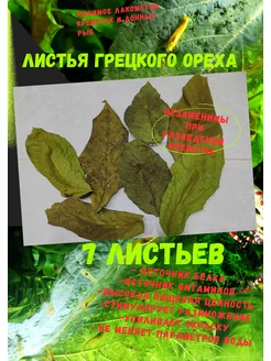 Листья грецкого ореха