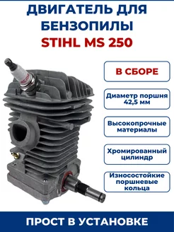 Двигатель для бензопилы STIHL MS 250, в сборе