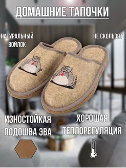 Тапочки войлочные мужские