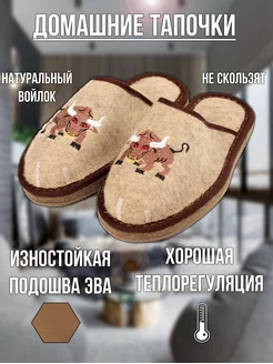 Тапочки войлочные мужские