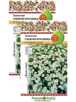 Танасетум Снежная Красавица (0,01 г), 2 пакета